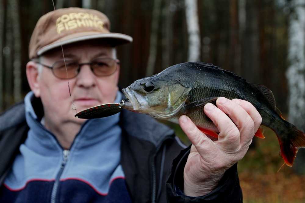 wahadłówka przynęta